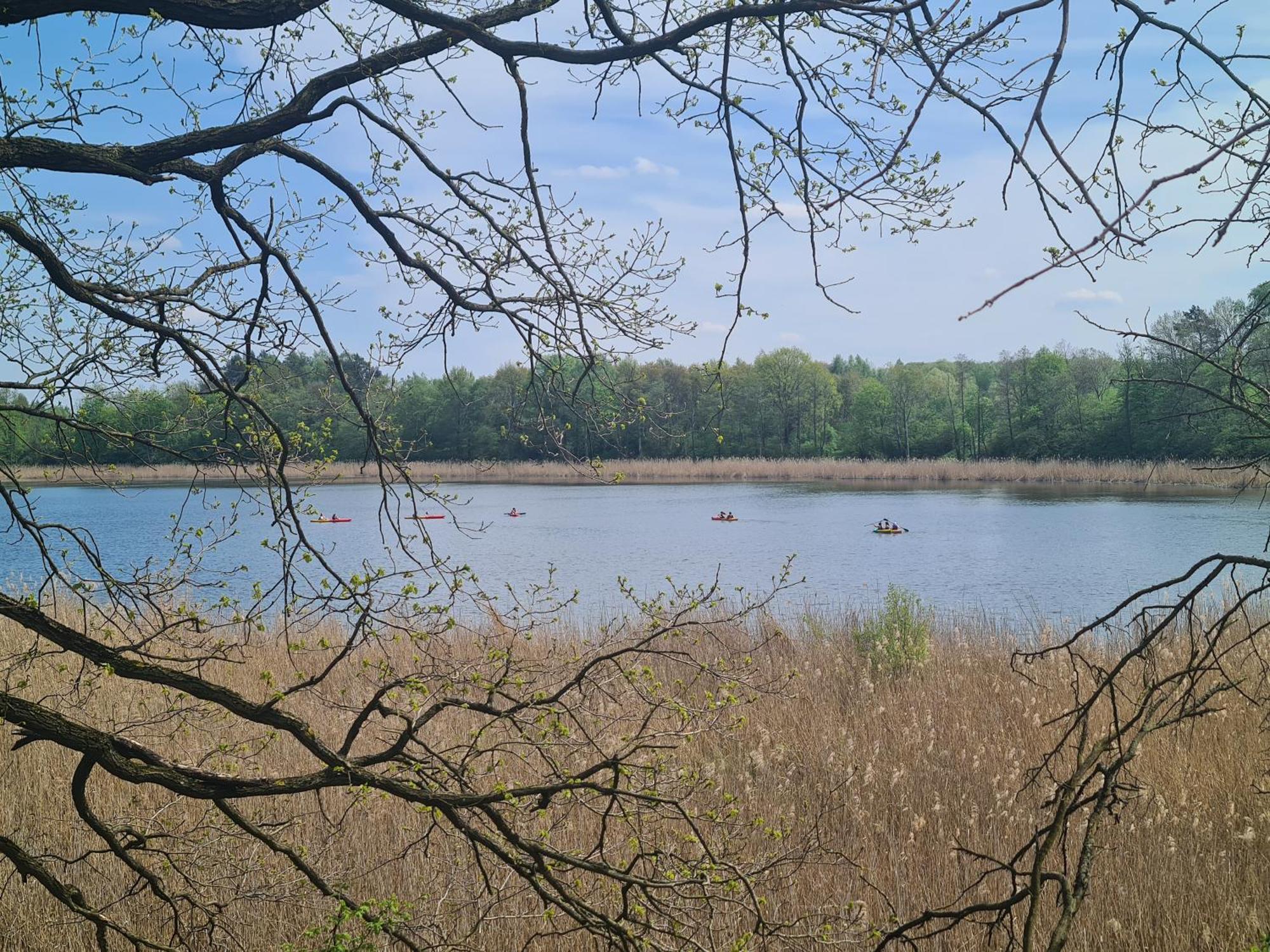 Przystan Natura Iława Buitenkant foto
