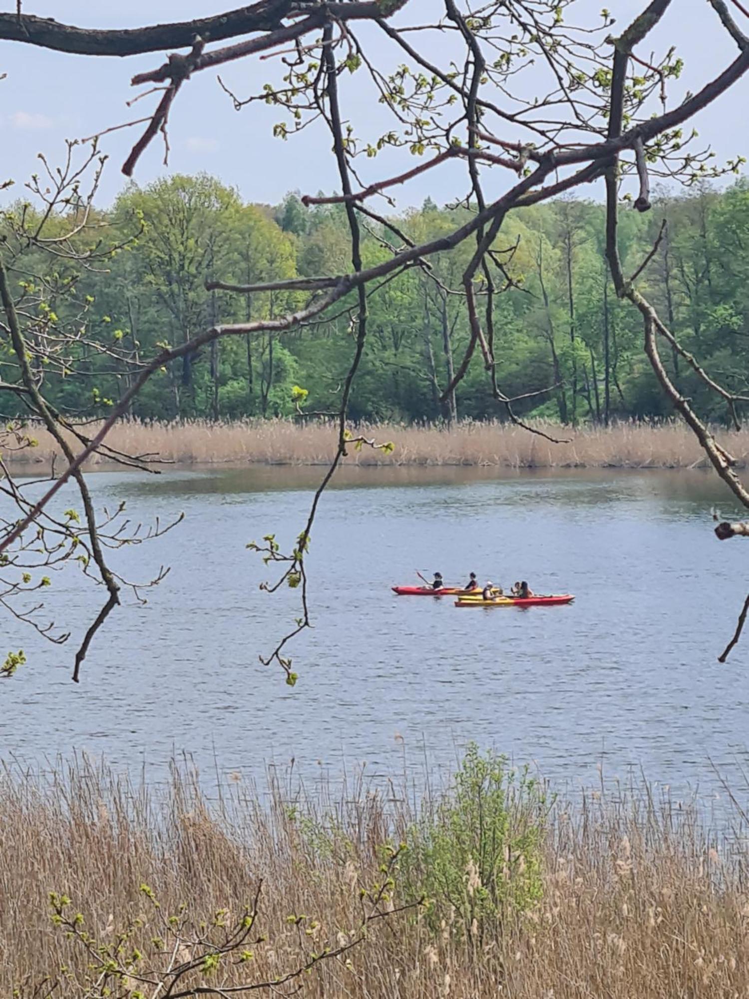 Przystan Natura Iława Buitenkant foto